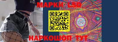 шишки Бердск
