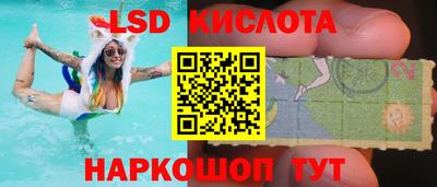 шишки Бердск