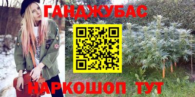 шишки Бердск