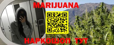 шишки Бердск