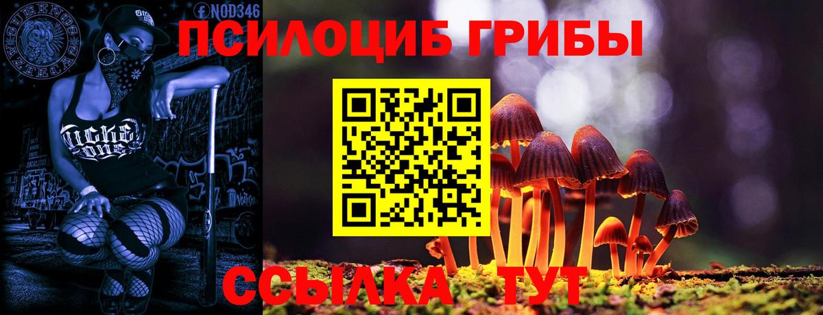Галлюциногенные грибы прущие грибы  Вход с VPN  Дербент  Галлюциногенные грибы Psilocybe 
